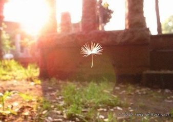 【萌芽春天】流动着的风景（散文）
