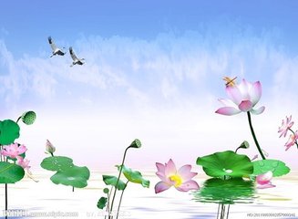 美丽的早晨（写话）