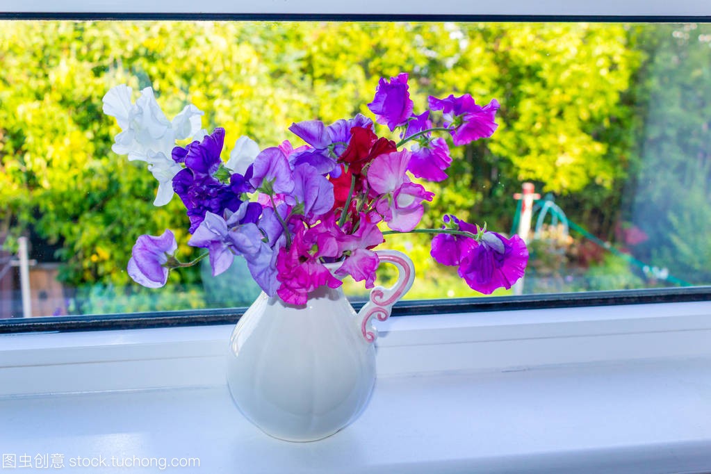 【八一】你的窗台上有花吗（外四首）