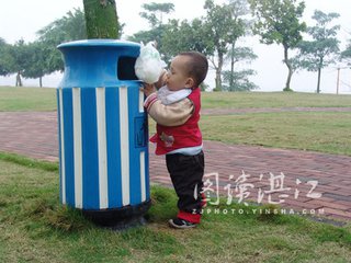 我的绿梦（记叙文）