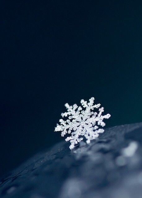 【流年】雪花(古韵)