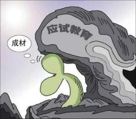 浅谈教育（议论文）