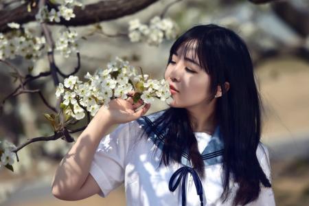 【唱词】梨花飘飘