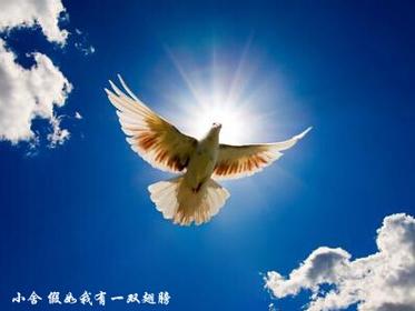 假如我有魔法(想象作文）