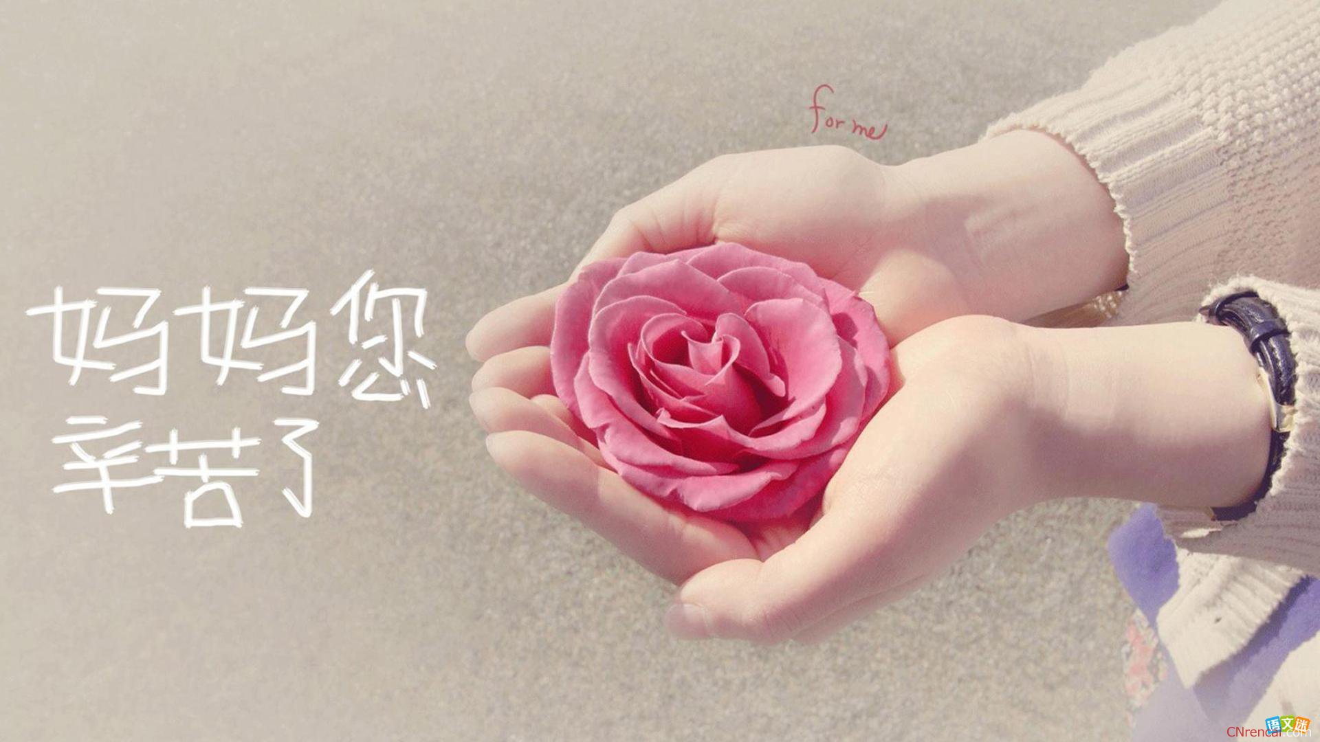 【清韵】妈妈的谎言（诗歌）