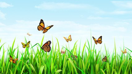 【萌芽春天】春天的童话（散文）