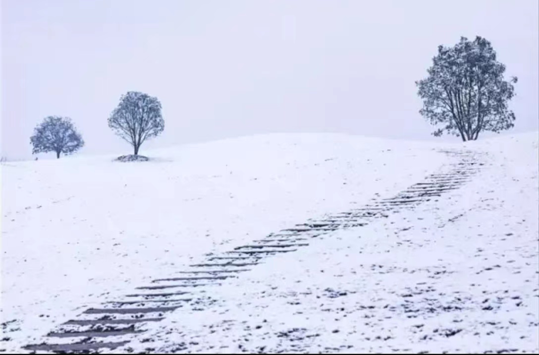 【文璞】临江仙· 春雪（古韵外四阕）