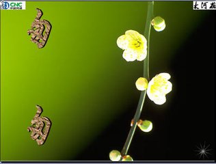 匆匆（儿童诗）