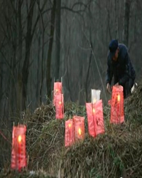 【看点•探幽】元宵节上灯（散文）
