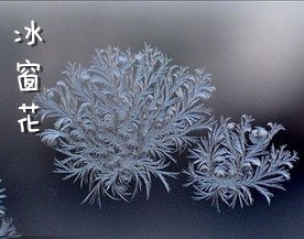 【江南】冰窗花(散文)