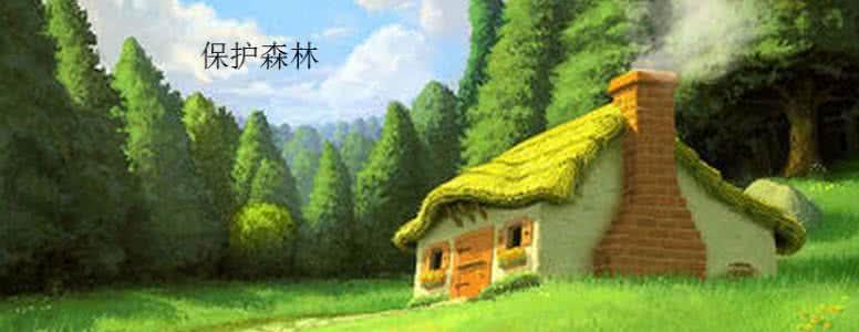 森林的变化（童话）