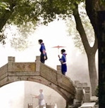 【东篱】五律六首（古韵）