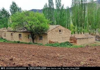 【江山宸光】写在枝头，院子，或深山里（中学组诗歌外两首）