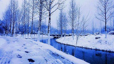 【菊韵】期待一场雪（散文）