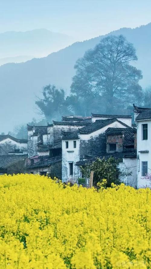 【摆渡·春】春天二题（诗歌）