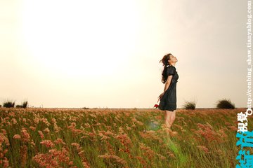一个人在家（记叙文）