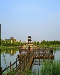 【看点】阳湖湿地公园游记（散文）