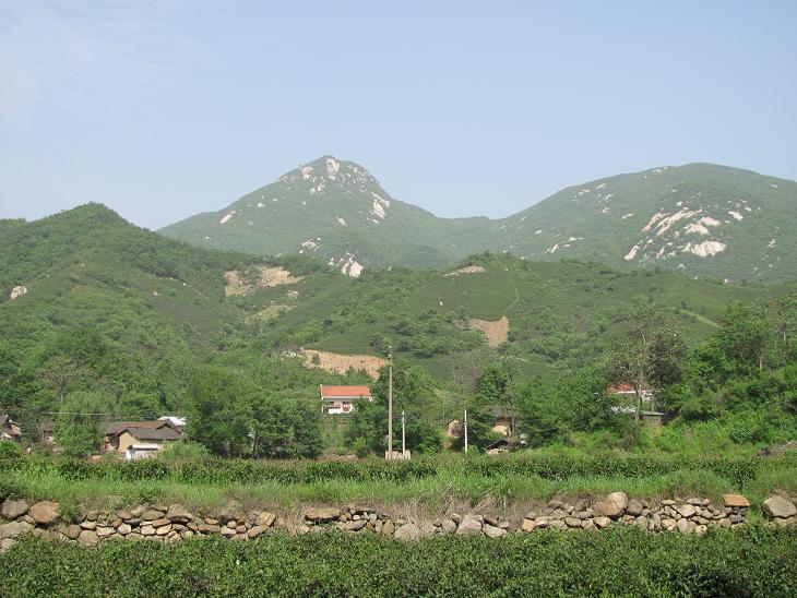 高中毕业前,我没离开过老家冷水江一步。 雪峰山脉的崇山峻岭、峭壁巉岩由西往东,从怀化、溆浦逶迤而来,滔天巨浪一般淹过祖祖辈辈居住的小村,留下巍巍然刺破云天的大乘山、祖师岭与其余名号各异的大小山峰,又一路继续往东,向紧邻的新邵、涟源奔腾而去。 儿时的我常常站在半山腰的老宅前,对着眼前连绵起伏的群山与遮天蔽日的林海发呆:什么时候能爬过山峰,瞧一瞧山那边大人嘴里说的另一个世界呢? 村里唯一真正见过山外另一个世界的只有二爷爷,也就是爷爷的二哥。民国早年,年青的他胆气壮,帮宝庆府(今邵阳)
