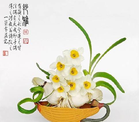 【荷塘】素心一捧，踏浪来（散文）