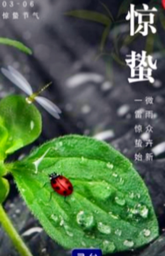 【天涯】雨霖铃•惊蛰〔诗词〕