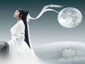 【吉祥】月光落在花瓣儿上（诗歌）