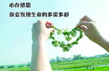 妈妈变“懒”了（随笔）
