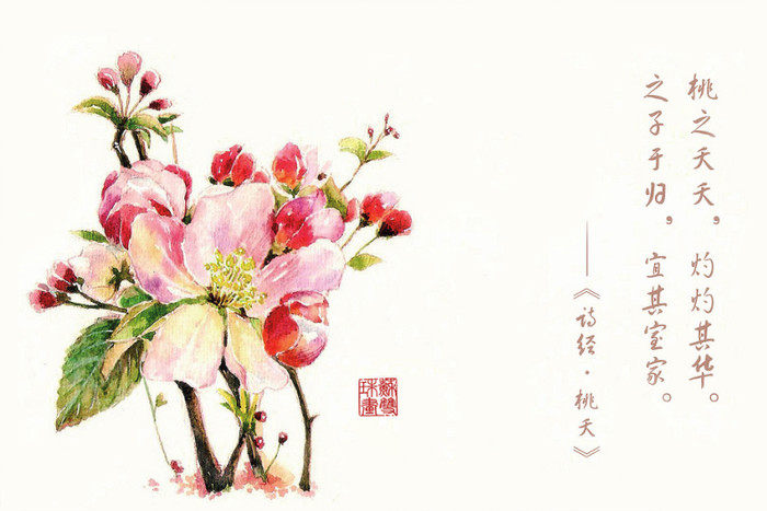 【荷塘】桃之夭夭（散文）