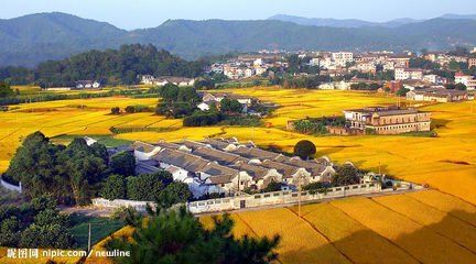 向往乡村（散文）