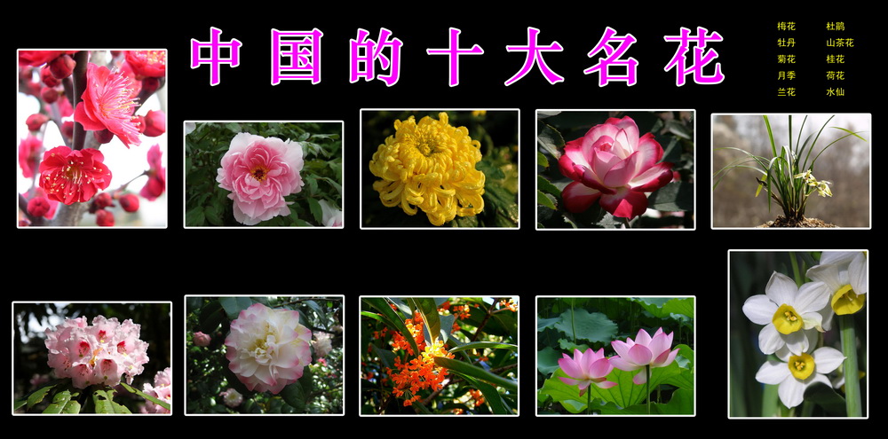 e951fc340e45dc5b64320e95c042c94a.jpg