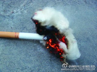 烟头带来的灾难（记叙文）