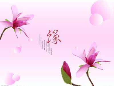 【西风文缘】与文字结缘的快感（征文散文）