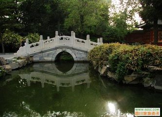 【西风】村前的小石桥（散文）
