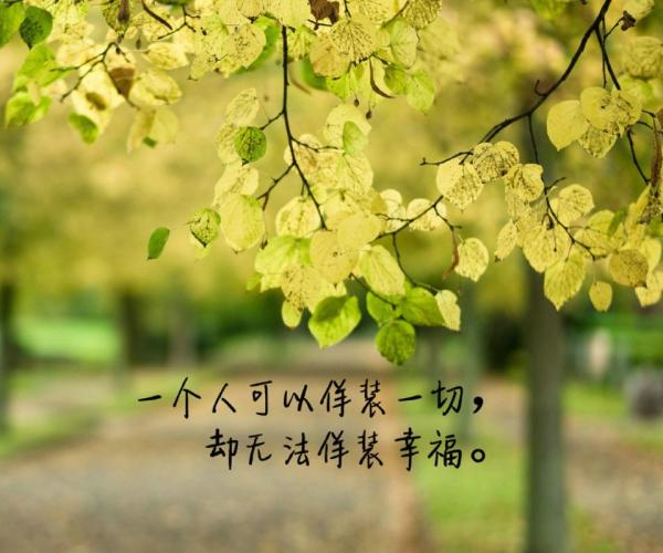 生活感悟随笔:时间花在哪里,都是看得见的(二)