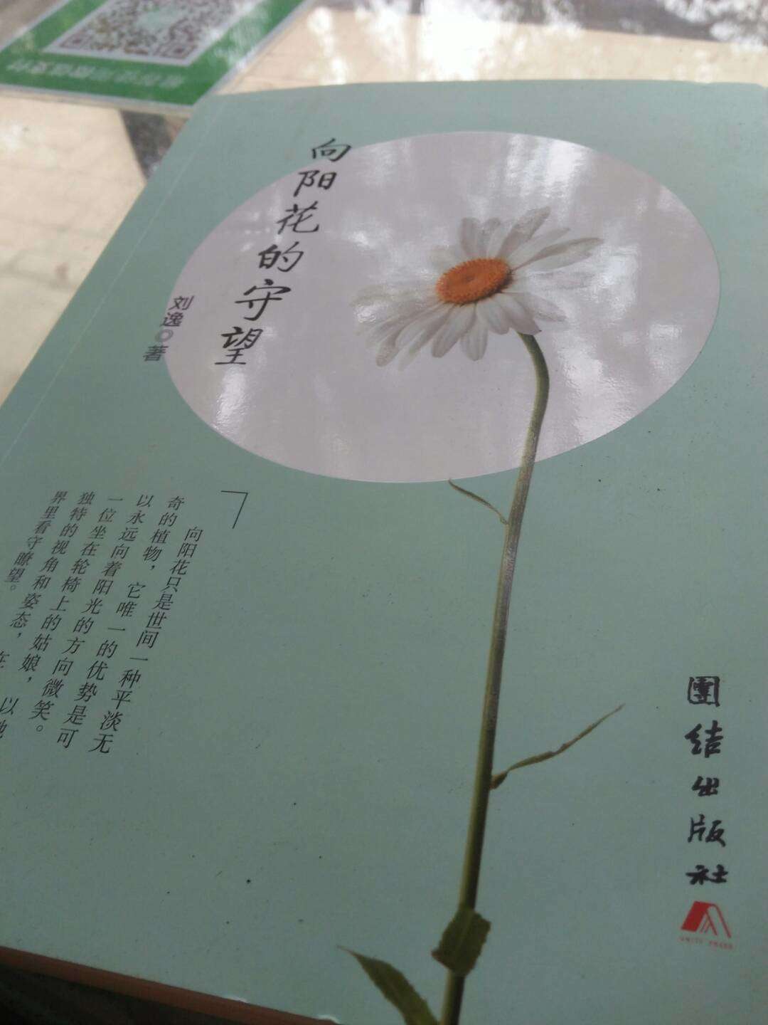 【晓荷】向阳花的守望（随笔）