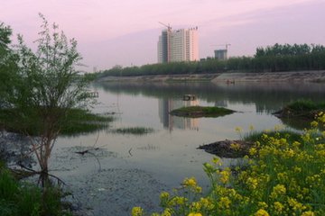身在故乡忆新年（散文）