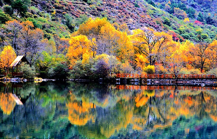 【八一】秋山行（散文）