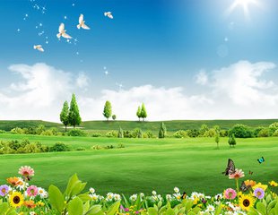 【萌芽春天】春的心思氤氲成生命（诗歌四首）