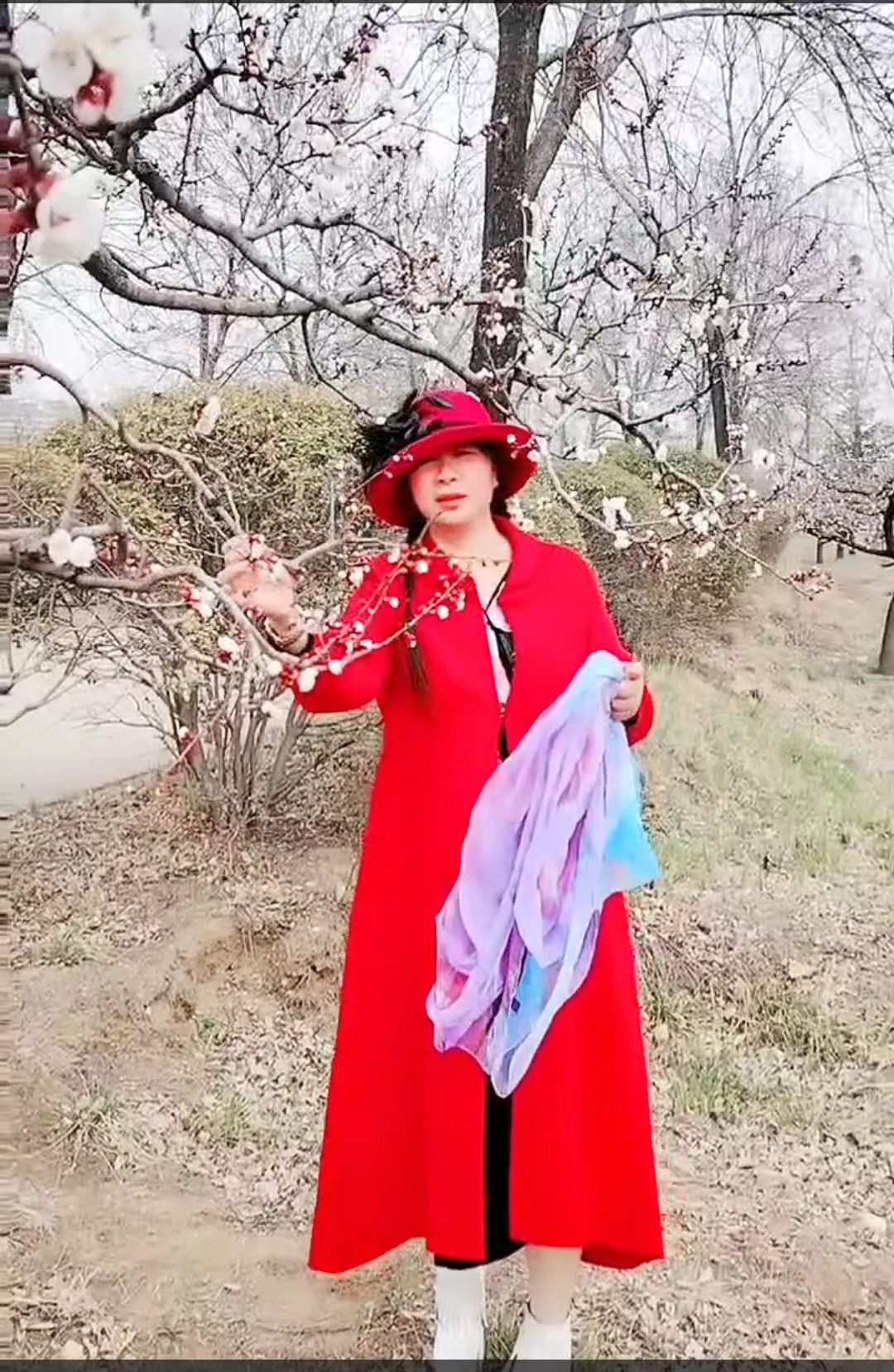 【天涯】杏白，春天嫁给人间的长女（散文）