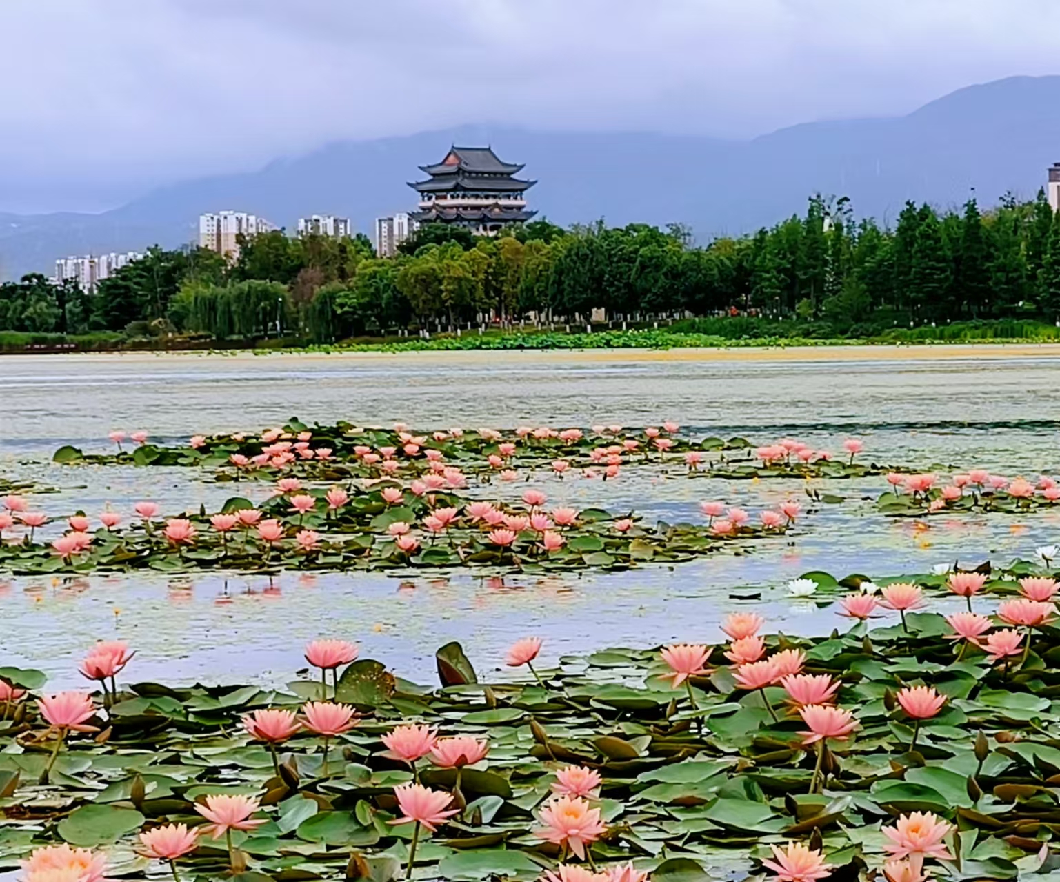 【宁静】途经保山（散文）