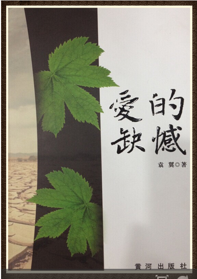 袁翼:爱的缺憾