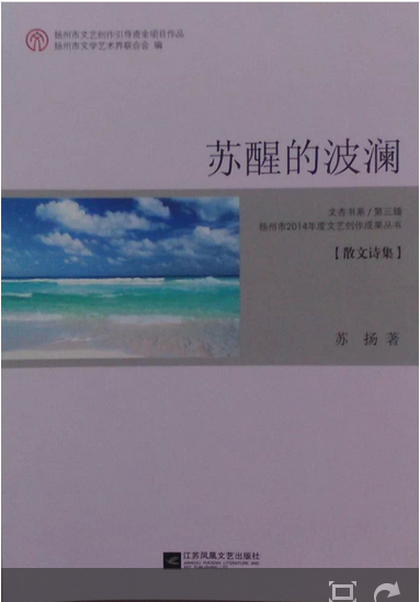 苏扬:苏醒的波澜