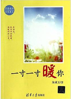 朱成玉:一寸一寸暖你