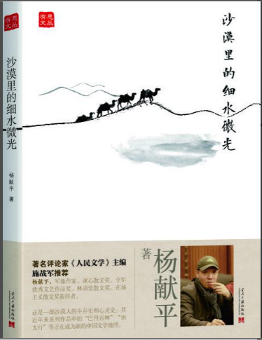 杨献平:沙漠里的细水微光