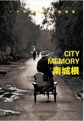 王选:南城根