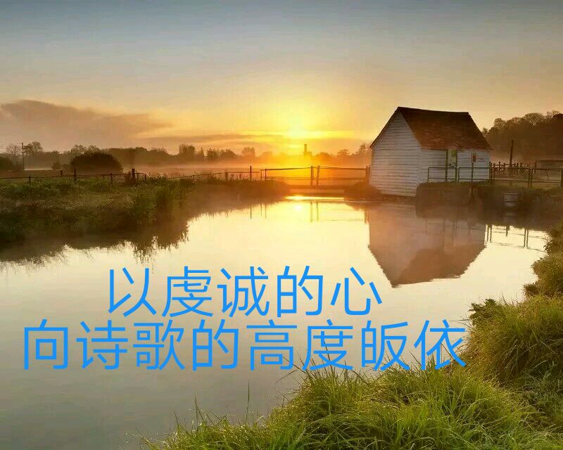 失落的草帽