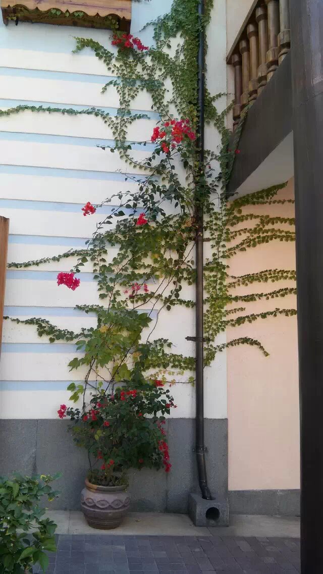 博友摄影2