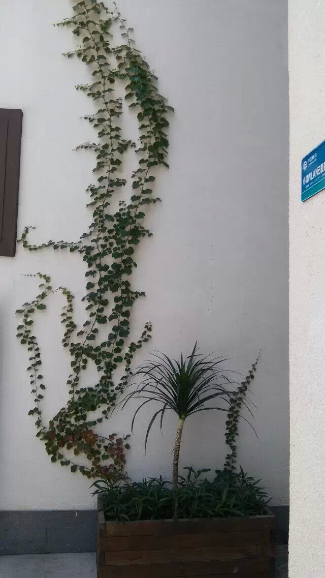 博友摄影
