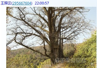 沅陵美景