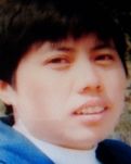 月笼南窗