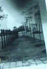 阵痛